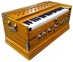 MUSICIAN TTGDHRJ34 3.25 Octave Hand Pumped Harmonium   (Three Fold Bellow, Bass Reed, Male Reed)