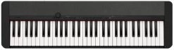 CASIO KS51A CT-S1 Black Digital Portable Keyboard   (61 Keys)