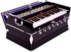 SG MUSICAL GS2 Octave Harmonium
