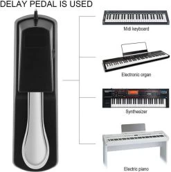 Blueberry R-300 Damper & Sustain Pedal -Qin Shop r 300 blueberry original imafsmv6sjdzamnv