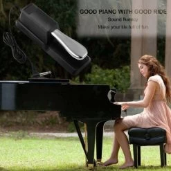 Blueberry R-300 For All Brands Muiscal Keyboards And Piano , Damper & Sustain Pedal -Qin Shop r 300 for all brands muiscal keyboards and piano blueberry original imagkzzrfkhtr7pk